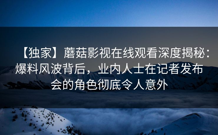 【独家】蘑菇影视在线观看深度揭秘：爆料风波背后，业内人士在记者发布会的角色彻底令人意外
