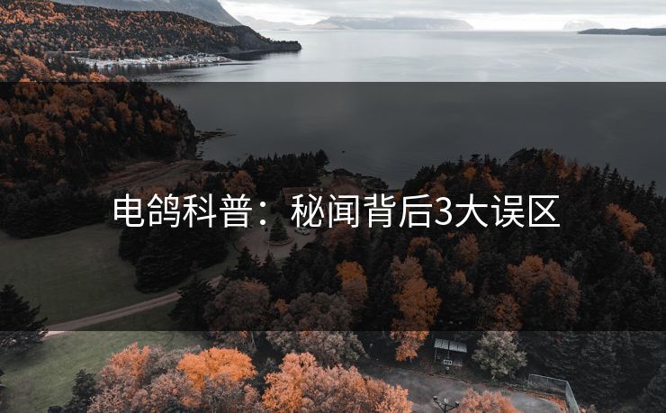 电鸽科普：秘闻背后3大误区