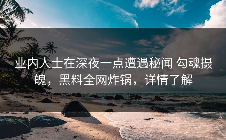 业内人士在深夜一点遭遇秘闻 勾魂摄魄，黑料全网炸锅，详情了解